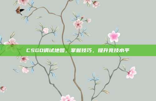 CSGO调试地图，掌握技巧，提升竞技水平