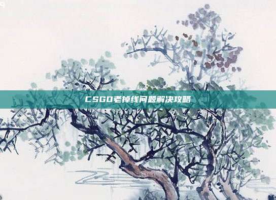 CSGO老掉线问题解决攻略