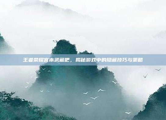 王者荣耀宫本武藏吧，揭秘游戏中的隐藏技巧与策略