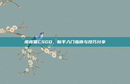 皮皮猫CSGO,新手入门指南与技巧分享