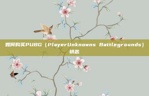 如何购买PUBG（PlayerUnknowns Battlegrounds）钥匙