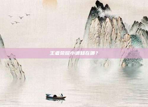 王者荣耀小通知在哪？