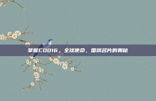 掌握COD16，全球使命，国旗名片的奥秘