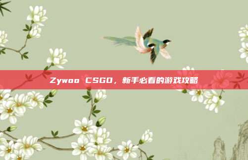 Zywoo CSGO，新手必看的游戏攻略