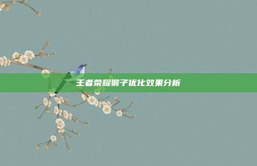 王者荣耀猴子优化效果分析