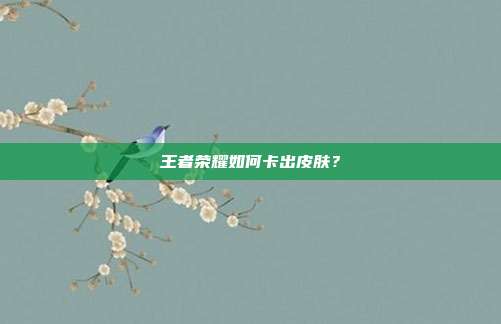 王者荣耀如何卡出皮肤？