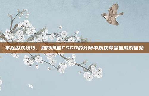 掌握游戏技巧，如何调整CSGO的分辨率以获得最佳游戏体验
