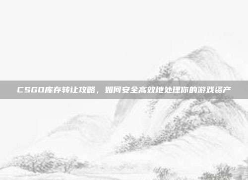 CSGO库存转让攻略,如何安全高效地处理你的游戏资产