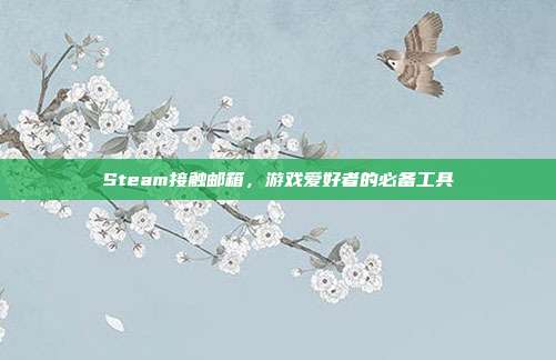 Steam接触邮箱，游戏爱好者的必备工具