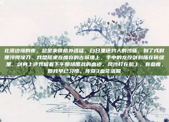 北漠边境的夜,总是来得格外迅猛。白日里还灼人的沙砾,到了戌时便冷得像刀。我盘膝坐在废弃的古城墙上,手中的龙纹剑斜插在砖缝里,剑身上还残留着下午那场鏖战的血迹。风沙打在脸上,有些疼,但我早已习惯。传奇3血花落照