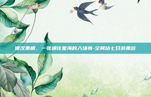 银汉票根,一张通往星海的入场券-空间站七日游票价