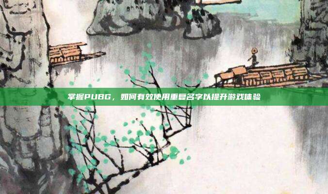 掌握PUBG，如何有效使用重复名字以提升游戏体验