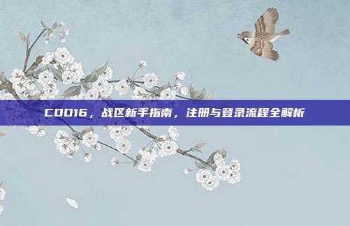 COD16，战区新手指南，注册与登录流程全解析
