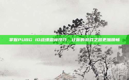 掌握PUBG ID战绩查询技巧，让你的游戏之路更加顺畅