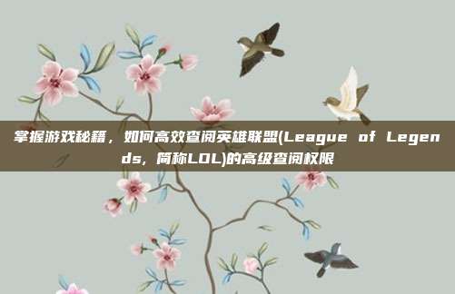 掌握游戏秘籍,如何高效查阅英雄联盟(League of Legends, 简称LOL)的高级查阅权限