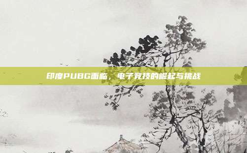 印度PUBG面临,电子竞技的崛起与挑战