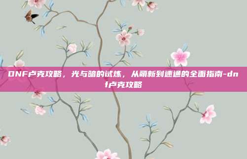 DNF卢克攻略，光与暗的试炼，从萌新到速通的全面指南-dnf卢克攻略