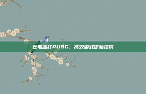 云电脑打PUBG，高效游戏体验指南