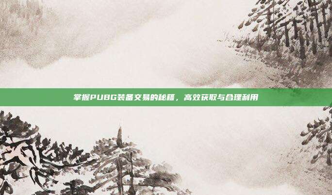 掌握PUBG装备交易的秘籍，高效获取与合理利用