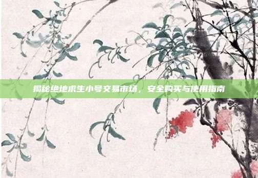 揭秘绝地求生小号交易市场，安全购买与使用指南