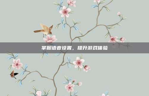 掌握语音设置，提升游戏体验