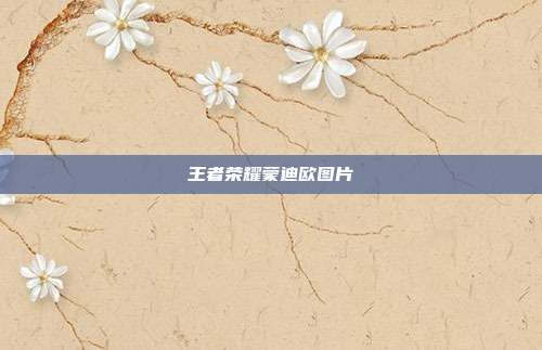 王者荣耀蒙迪欧图片