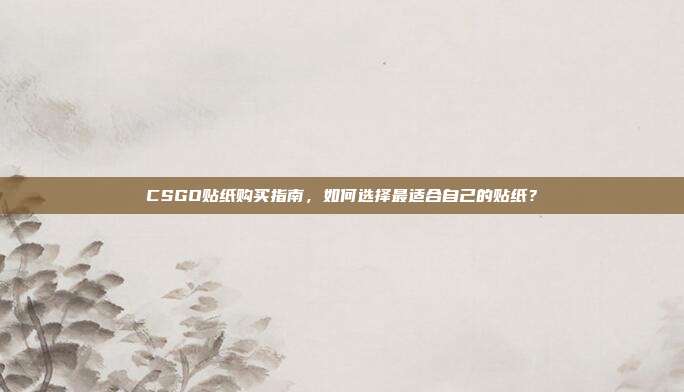 CSGO贴纸购买指南，如何选择最适合自己的贴纸？