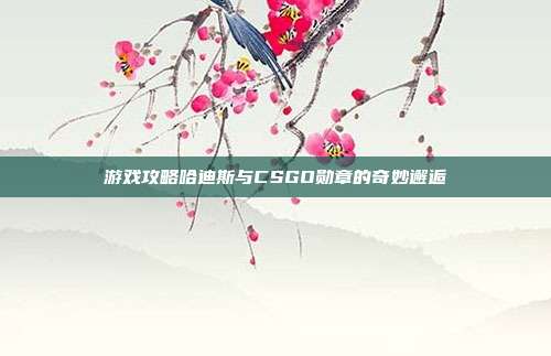 游戏攻略哈迪斯与CSGO勋章的奇妙邂逅