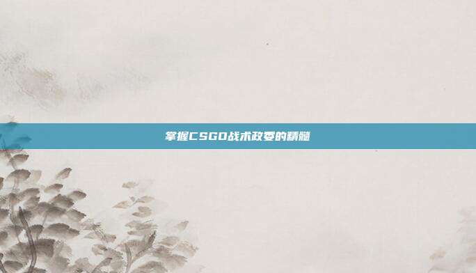 掌握CSGO战术政委的精髓