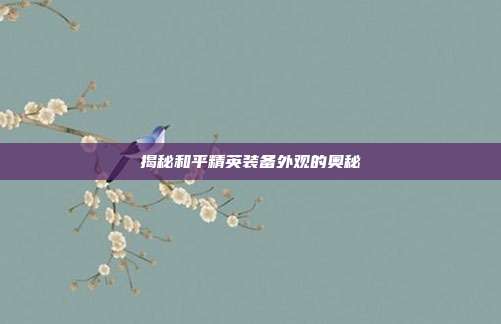 揭秘和平精英装备外观的奥秘
