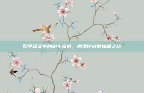 和平精英中的跑车奇遇，房顶停泊的神秘之旅