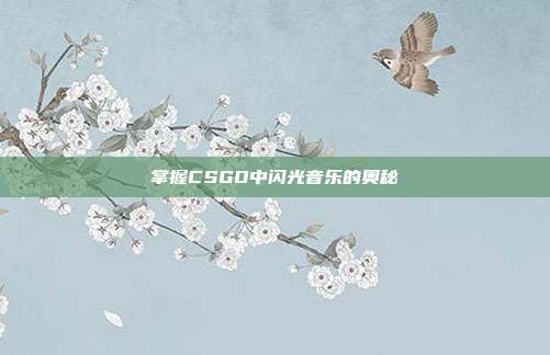 掌握CSGO中闪光音乐的奥秘
