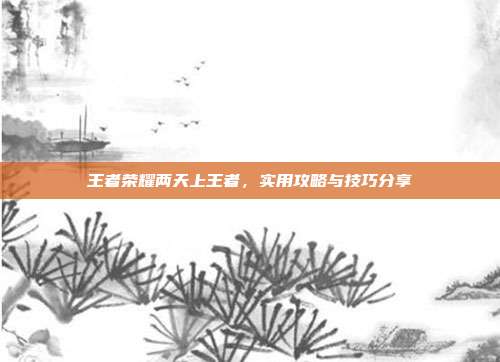 王者荣耀两天上王者，实用攻略与技巧分享