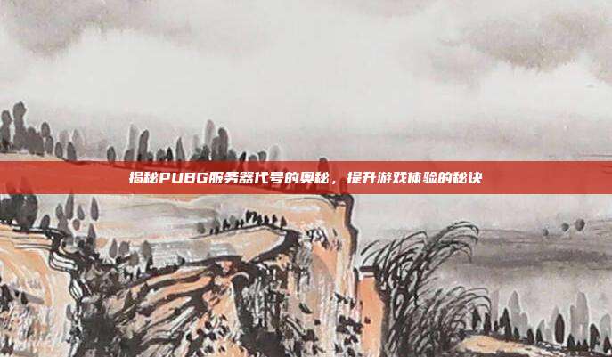 揭秘PUBG服务器代号的奥秘，提升游戏体验的秘诀