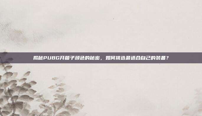 揭秘PUBG开箱子颜色的秘密，如何挑选最适合自己的装备？