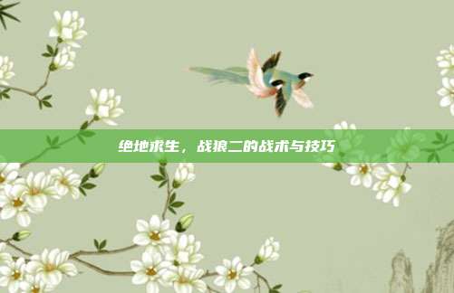 绝地求生，战狼二的战术与技巧