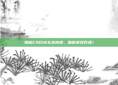 揭秘COD16礼包内容，助你游戏升级！