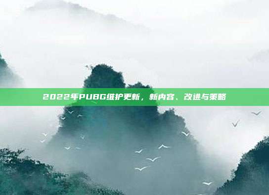 2022年PUBG维护更新，新内容、改进与策略