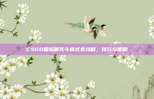 CSGO国际服死斗模式全攻略，技巧与策略