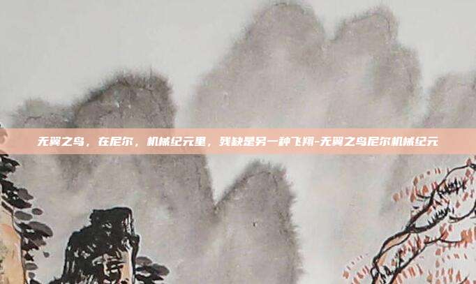 无翼之鸟,在尼尔,机械纪元里,残缺是另一种飞翔-无翼之鸟尼尔机械纪元