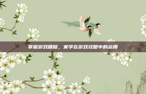 掌握游戏精髓，宋学在游戏攻略中的运用