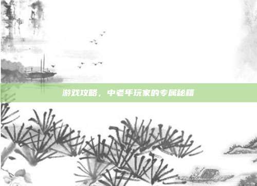 游戏攻略,中老年玩家的专属秘籍