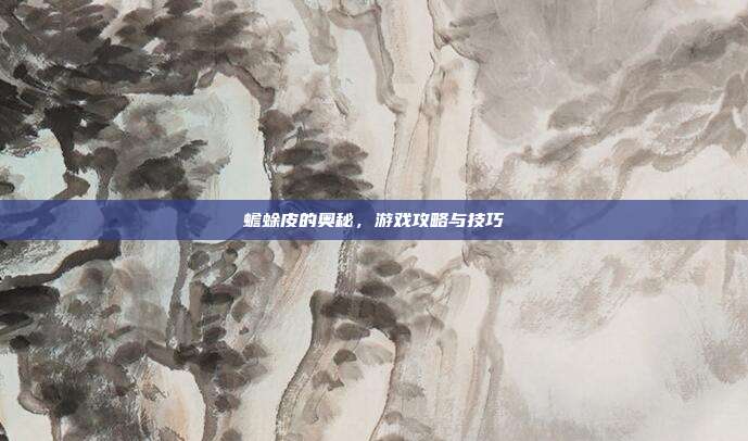 蟾蜍皮的奥秘，游戏攻略与技巧