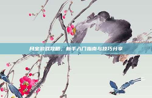 月宝游戏攻略，新手入门指南与技巧分享
