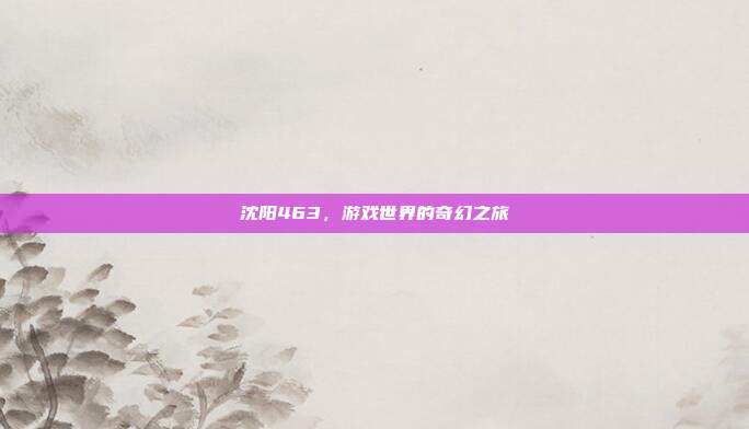 沈阳463,游戏世界的奇幻之旅