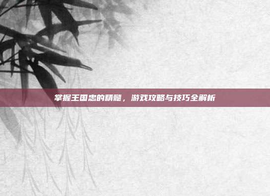 掌握王国忠的精髓，游戏攻略与技巧全解析