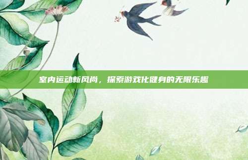室内运动新风尚,探索游戏化健身的无限乐趣