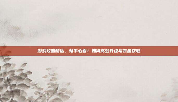 游戏攻略精选，新手必看！如何高效升级与装备获取