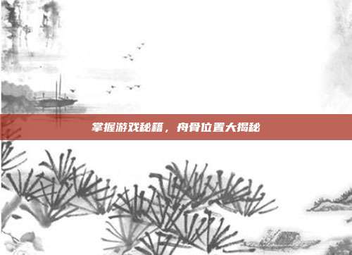掌握游戏秘籍，舟骨位置大揭秘