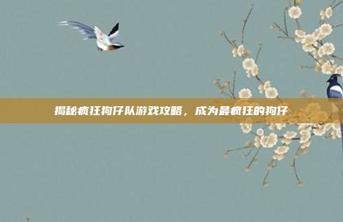 揭秘疯狂狗仔队游戏攻略,成为最疯狂的狗仔